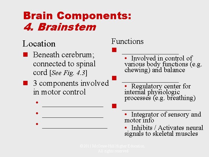 Brain Components: 4. Brainstem Location n Beneath cerebrum; Functions n _______ • Involved in