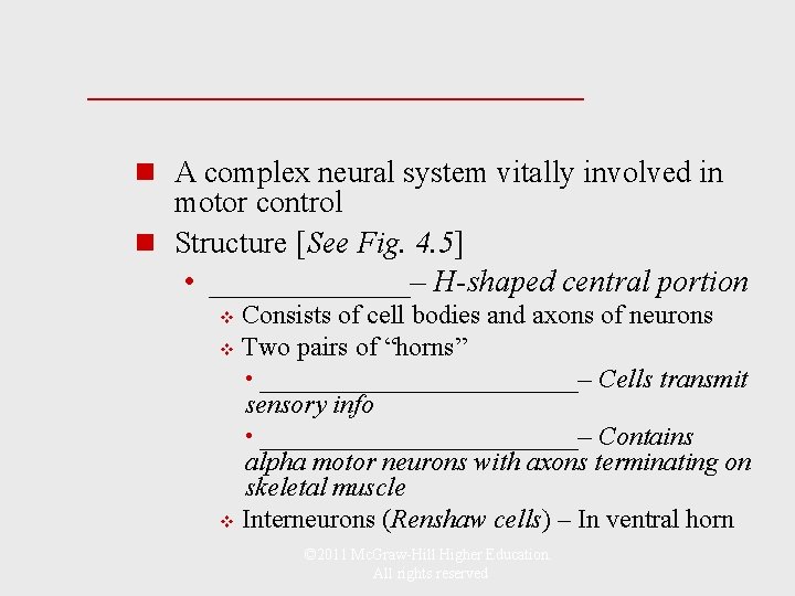 _____________ n A complex neural system vitally involved in motor control n Structure [See
