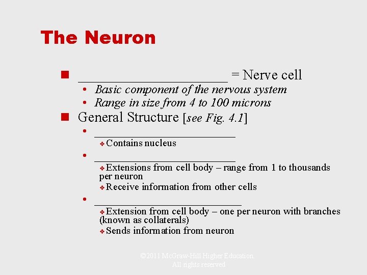 The Neuron n ___________ = Nerve cell • Basic component of the nervous system