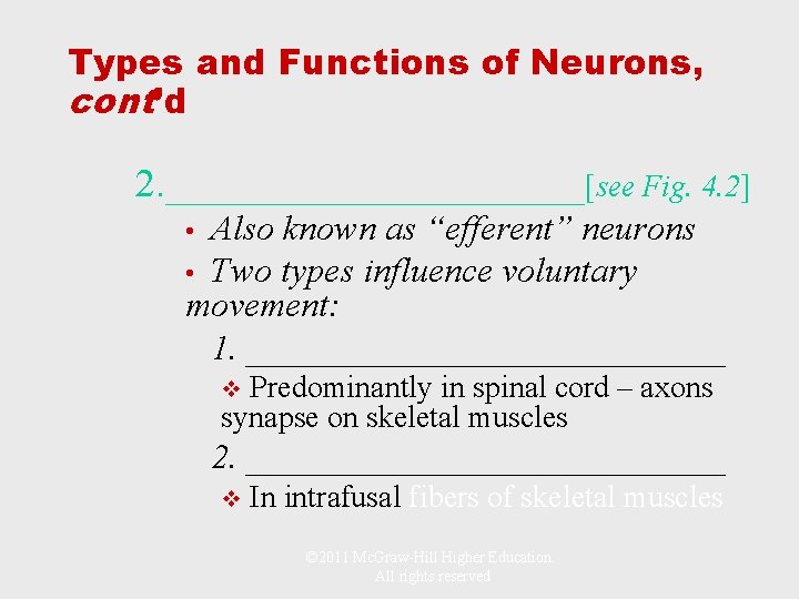 Types and Functions of Neurons, cont’d 2. ___________[see Fig. 4. 2] Also known as