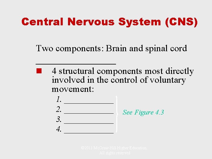 Central Nervous System (CNS) Two components: Brain and spinal cord _________ n 4 structural