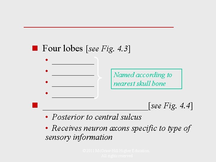 _____________ n Four lobes [see Fig. 4. 3] • __________ Named according to •