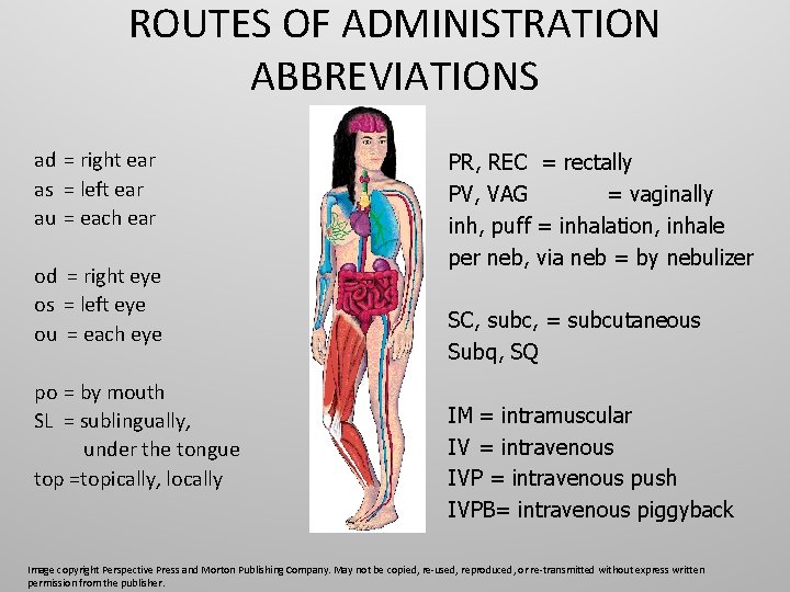 CHAPTER 5 PRESCRIPTIONS CHAPTER OUTLINE Prescriptions Pharmacy