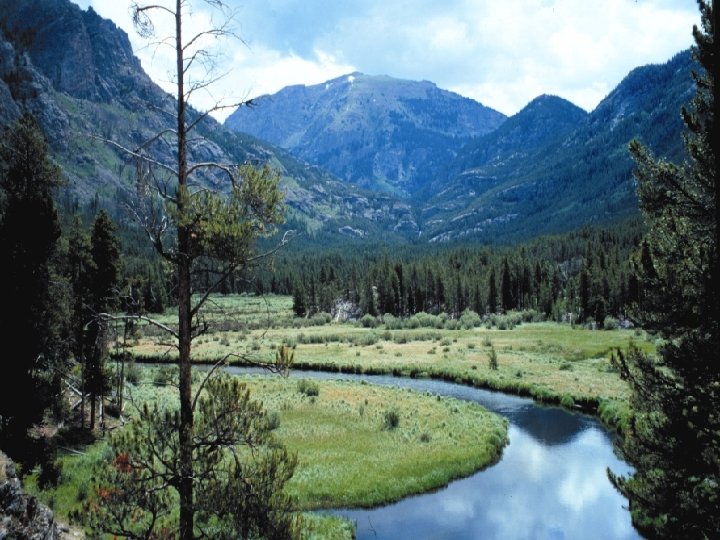 Lower valley of East Inlet, 7/12/00 