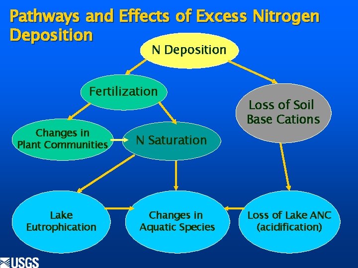 Pathways and Effects of Excess Nitrogen Deposition N Deposition Fertilization Changes in Plant Communities