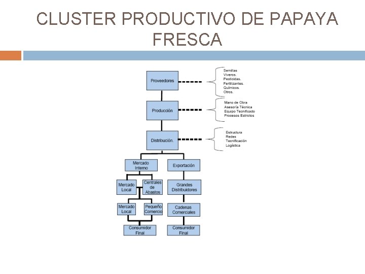 CLUSTER PRODUCTIVO DE PAPAYA FRESCA 