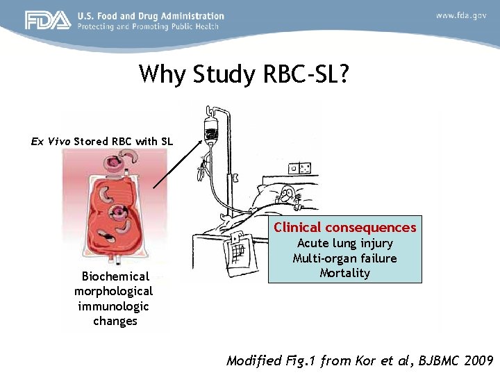 Why Study RBC-SL? Ex Vivo Stored RBC with SL Clinical consequences Biochemical morphological immunologic