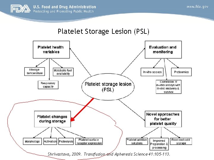 Platelet Storage Lesion (PSL) Shrivastava, 2009. Transfusion and Apheresis Science 41: 105 -113. 