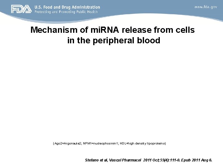 Mechanism of mi. RNA release from cells in the peripheral blood (Ago 2=Argonaute 2;