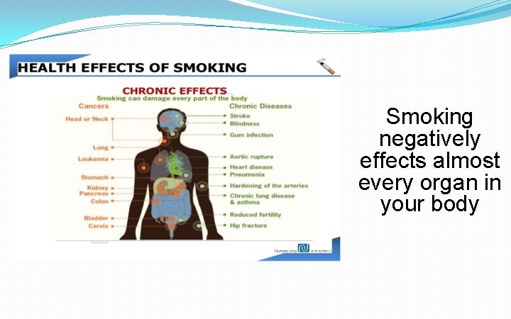 Smoking negatively effects almost every organ in your body Smoking negatively effects almost every organ in your body