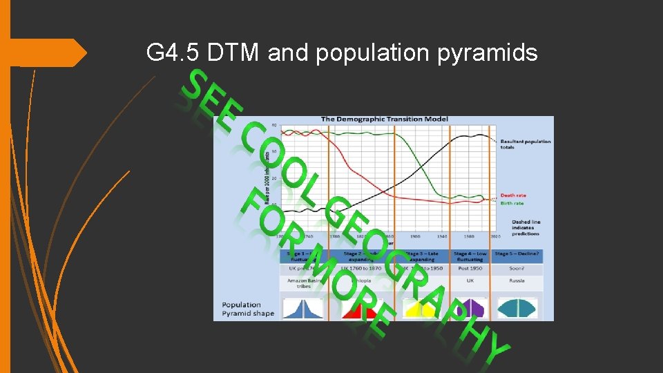 G 4. 5 DTM and population pyramids 