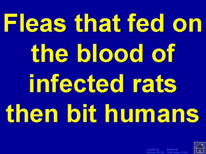 Fleas that fed on the blood of infected rats then bit humans Template by