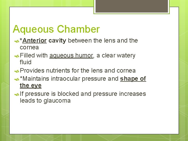 Aqueous Chamber *Anterior cavity between the lens and the cornea Filled with aqueous humor,