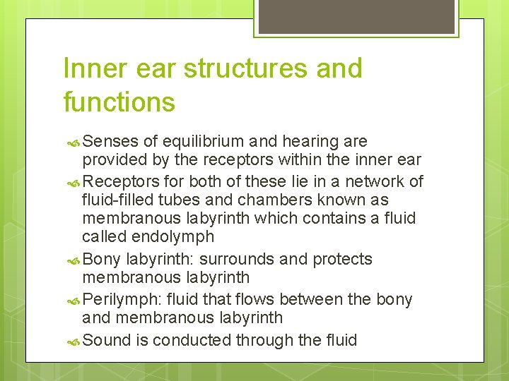 Inner ear structures and functions Senses of equilibrium and hearing are provided by the