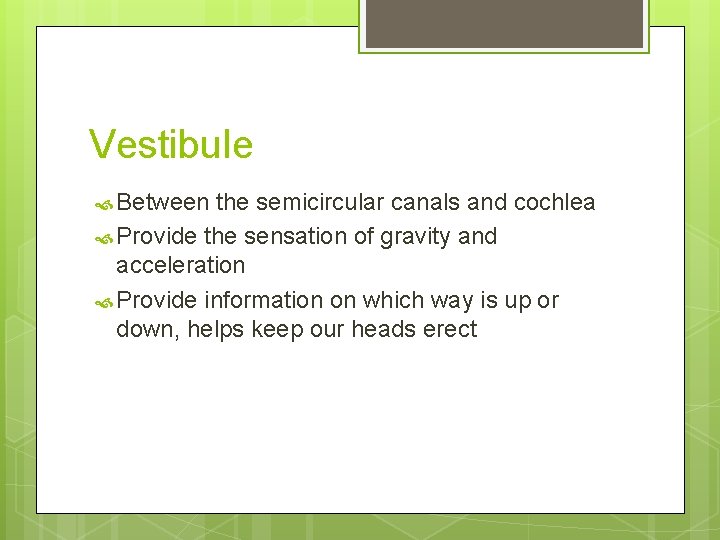 Vestibule Between the semicircular canals and cochlea Provide the sensation of gravity and acceleration