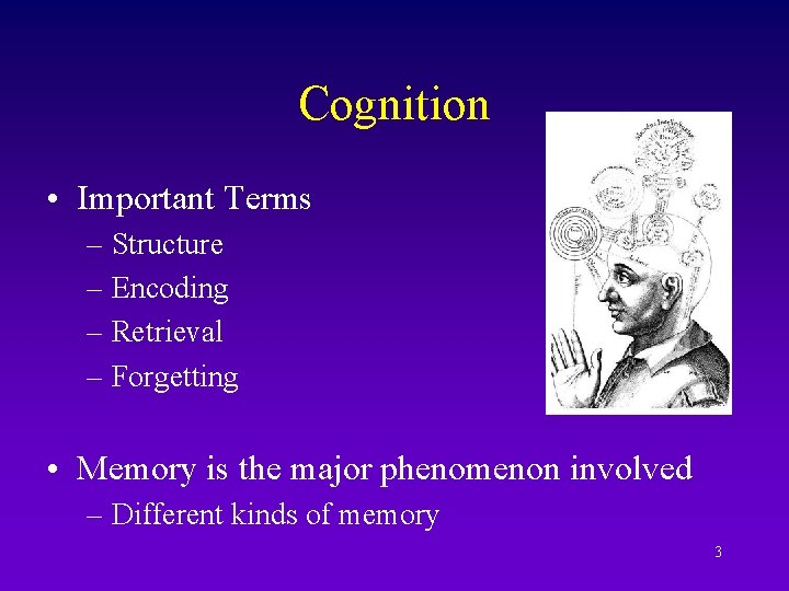 Cognition • Important Terms – Structure – Encoding – Retrieval – Forgetting • Memory