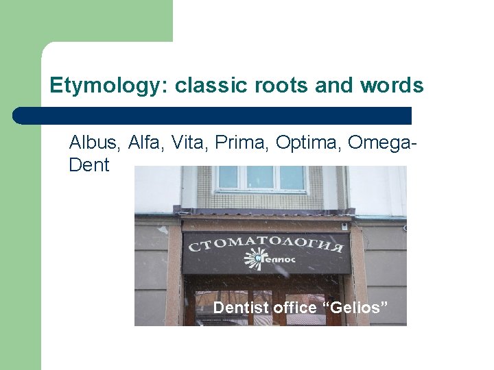 Etymology: classic roots and words Albus, Alfa, Vita, Prima, Optima, Omega. Dentist office “Gelios”