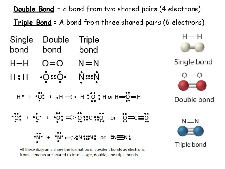 Double Bond = a bond from two shared pairs (4 electrons) Triple Bond =