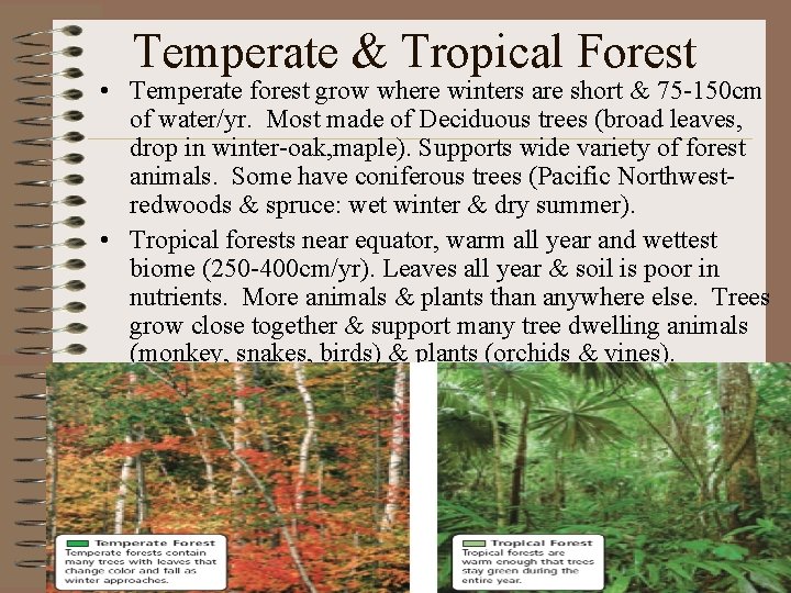 Temperate & Tropical Forest • Temperate forest grow where winters are short & 75