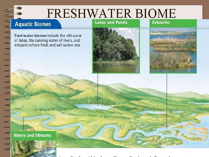 FRESHWATER BIOME 