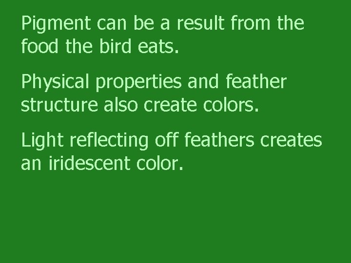 Pigment can be a result from the food the bird eats. Physical properties and