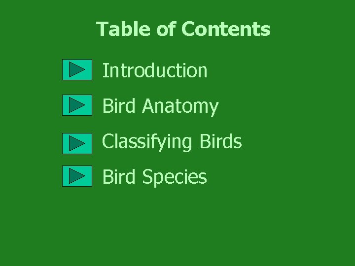 Table of Contents • Introduction • Bird Anatomy • Classifying Birds • Bird Species