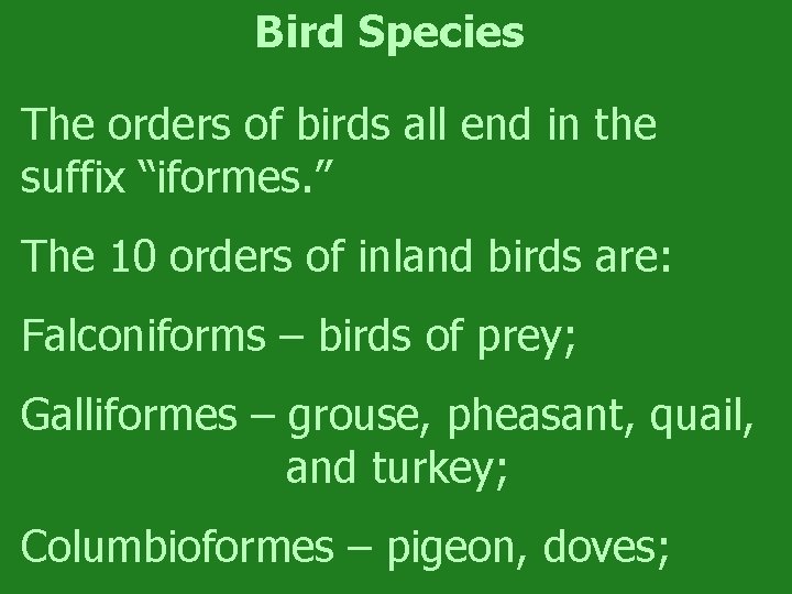 Bird Species The orders of birds all end in the suffix “iformes. ” The