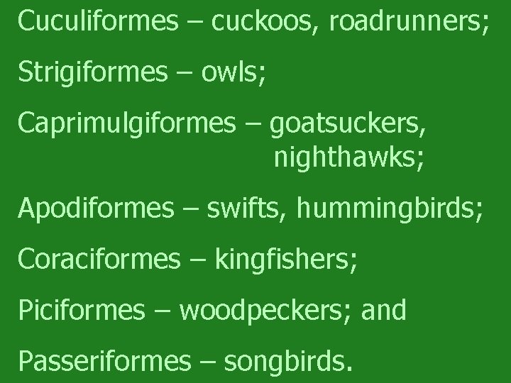 Cuculiformes – cuckoos, roadrunners; Strigiformes – owls; Caprimulgiformes – goatsuckers, nighthawks; Apodiformes – swifts,