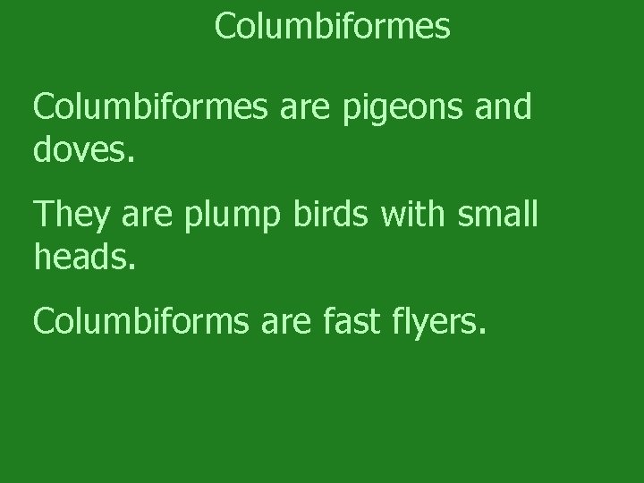 Columbiformes are pigeons and doves. They are plump birds with small heads. Columbiforms are