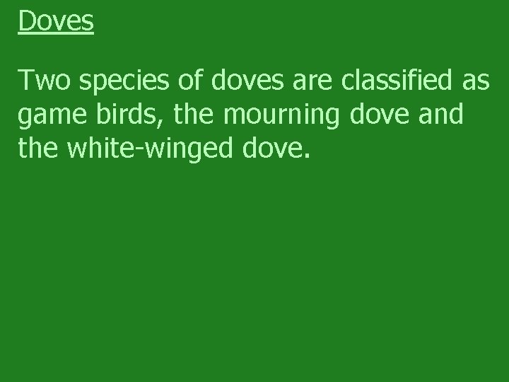 Doves Two species of doves are classified as game birds, the mourning dove and