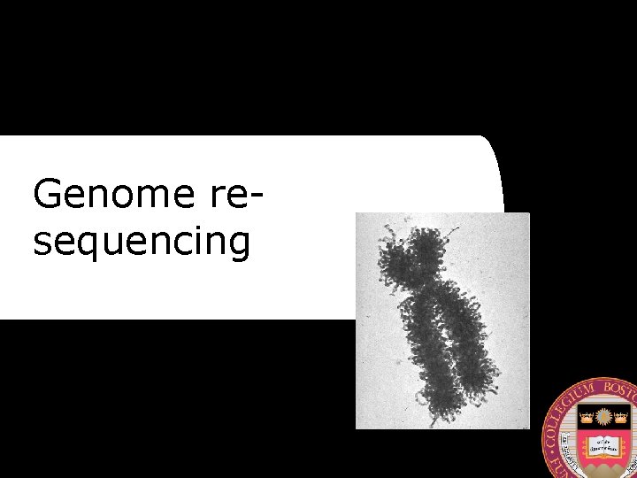 Genome resequencing 