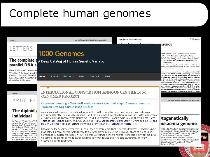 Complete human genomes 
