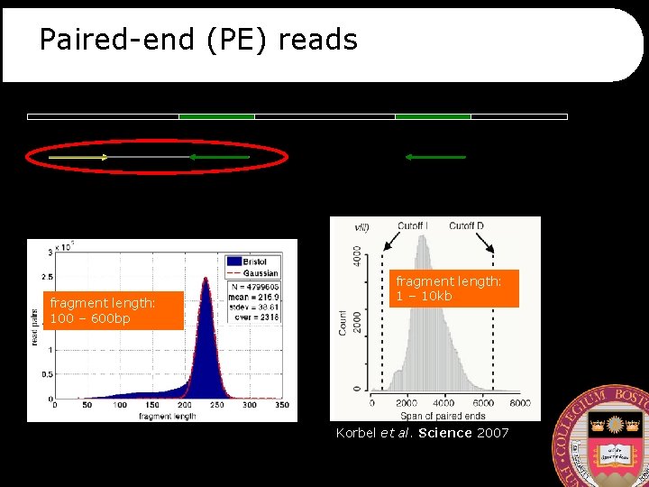 Paired-end (PE) reads fragment length: 100 – 600 bp fragment length: 1 – 10