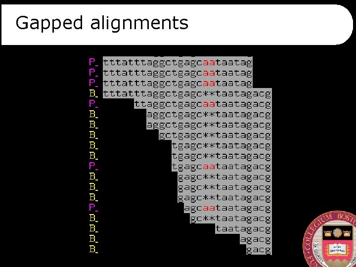 Gapped alignments 