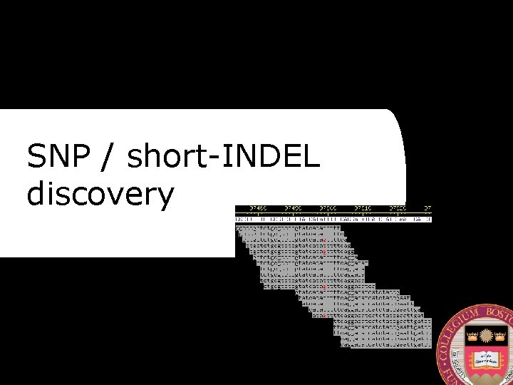 SNP / short-INDEL discovery 