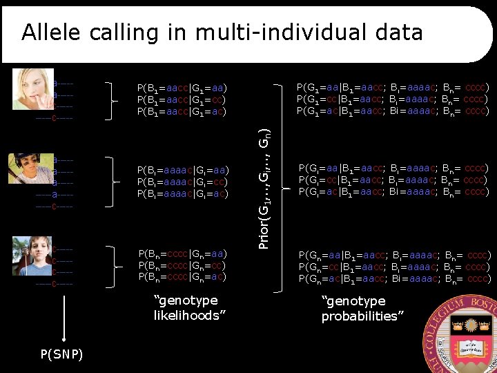 Allele calling in multi-individual data P(B 1=aacc|G 1=aa) P(B 1=aacc|G 1=cc) P(B 1=aacc|G 1=ac)