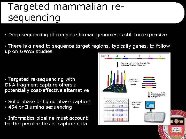 Targeted mammalian resequencing • Deep sequencing of complete human genomes is still too expensive