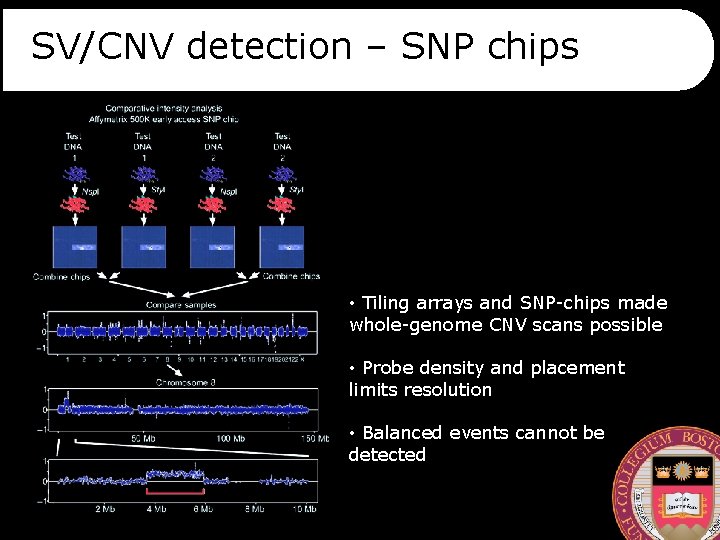 SV/CNV detection – SNP chips • Tiling arrays and SNP-chips made whole-genome CNV scans