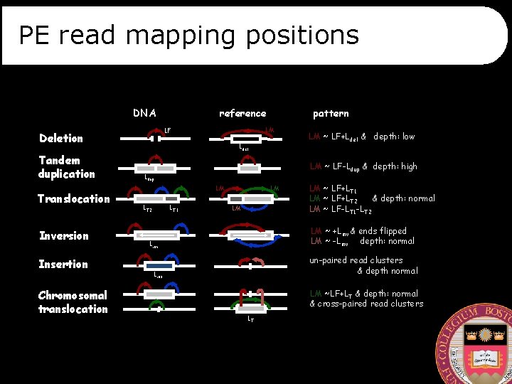 PE read mapping positions DNA Translocation Inversion Insertion Chromosomal translocation pattern LM LF Deletion