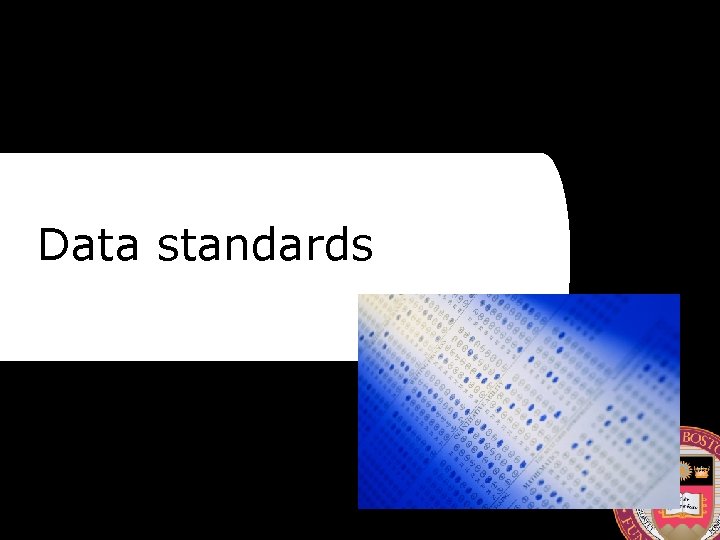 Data standards 