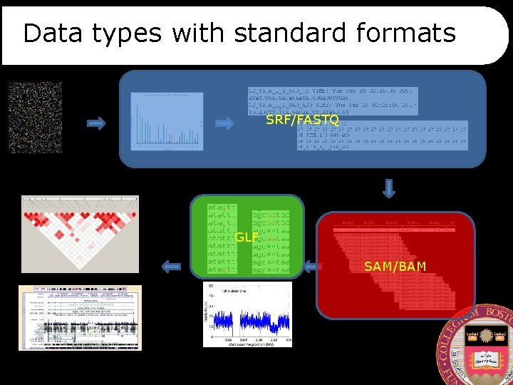 Data types with standard formats SRF/FASTQ GLF SAM/BAM 