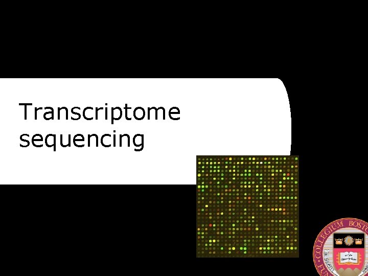 Transcriptome sequencing 