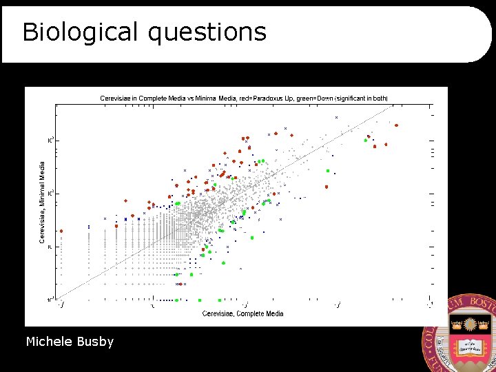 Biological questions Michele Busby 