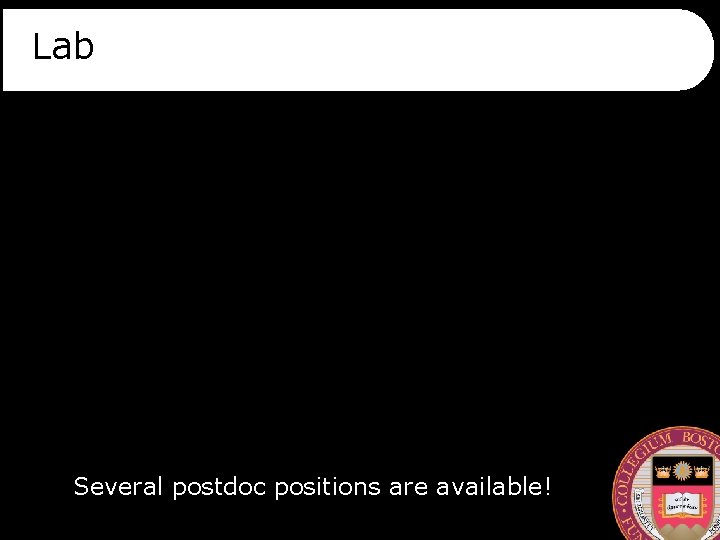 Lab Several postdoc positions are available! 