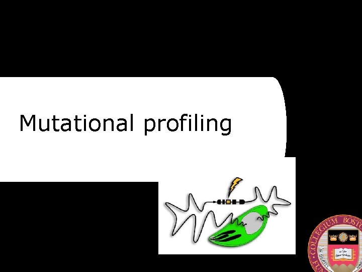 Mutational profiling 