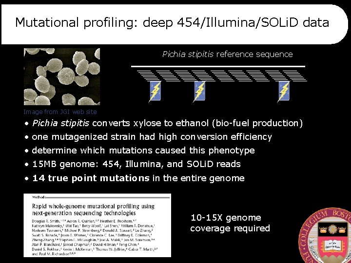 Mutational profiling: deep 454/Illumina/SOLi. D data Pichia stipitis reference sequence Image from JGI web