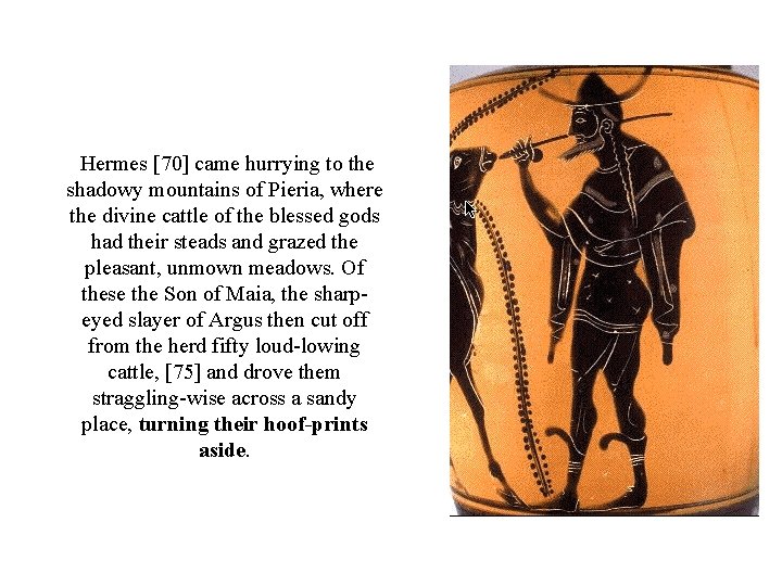 Hermes [70] came hurrying to the shadowy mountains of Pieria, where the divine cattle
