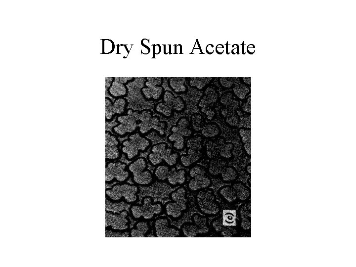 Dry Spun Acetate 