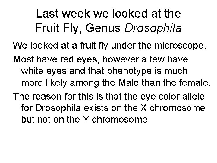 Last week we looked at the Fruit Fly, Genus Drosophila We looked at a