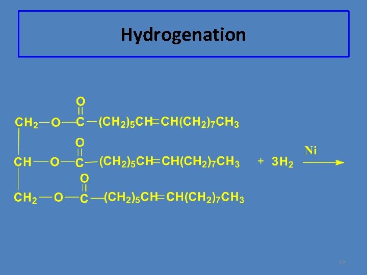 Hydrogenation 19 